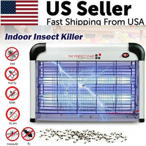 Lamp insect killer - insect,
