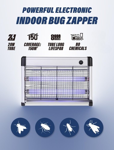 Electrical fly zapper insect - fly,