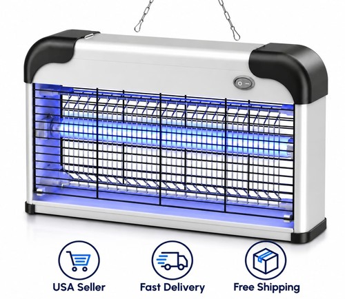 Insect killer mosquito - insect,