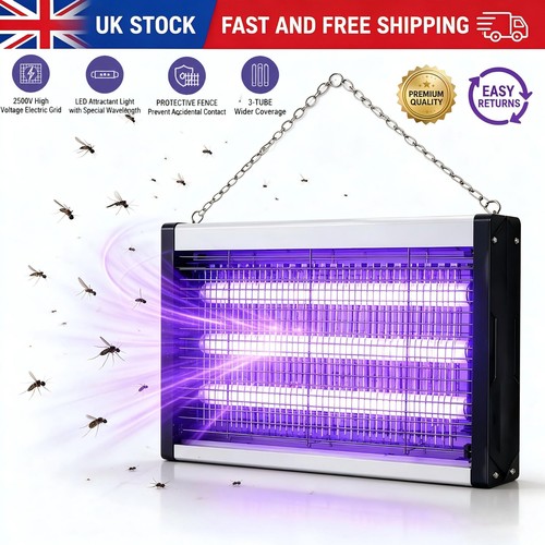 Electric insect fly killer - insect, bug
