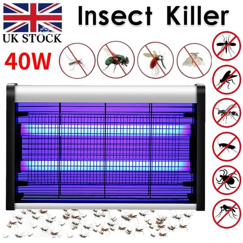 Bug zapper electric insect - bug,