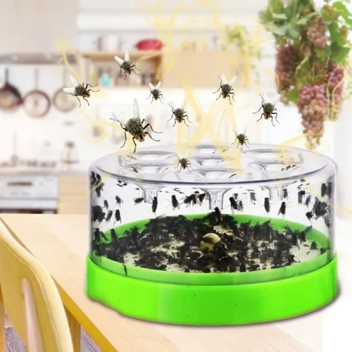 Automatic fly catcher killer - fly,
