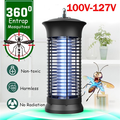 Electric mosquito insect - insect, fly