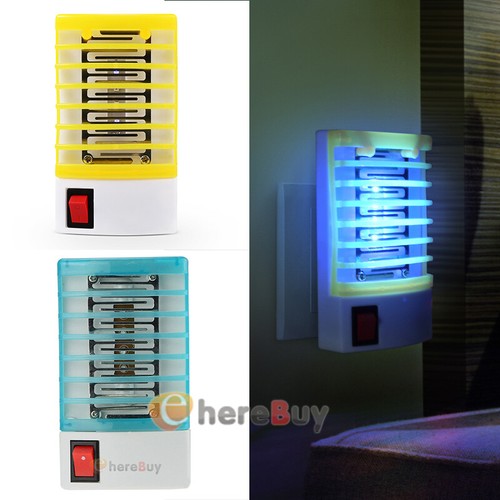 Bug zapper fruit flies - bug,
