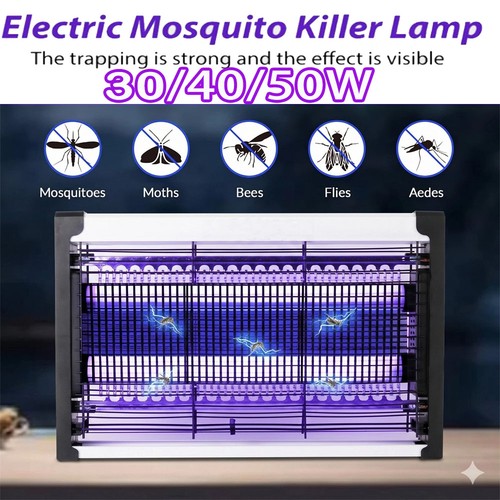 Bug zapper electric - bug, fly